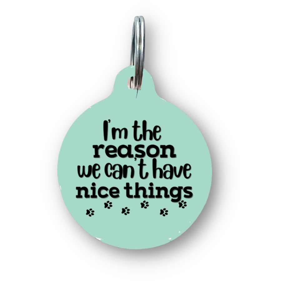 I'm The Reason We Can't Have Nice Things Funny Dog Tag