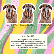 Load image into Gallery viewer, Little Legs Big Adventures Funny Dog Tag
