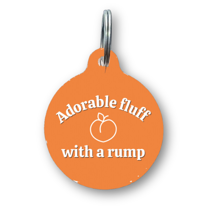 Adorable Fluff with a Rump Funny Dog Tag