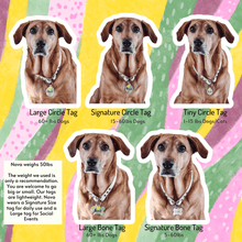 Load image into Gallery viewer, Colorful Mosaic Circle Pet Tag
