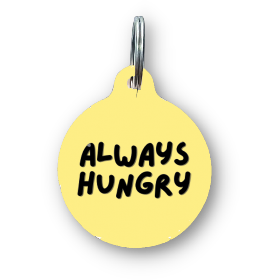 Always Hungry Funny Dog Tag My Nova Tag